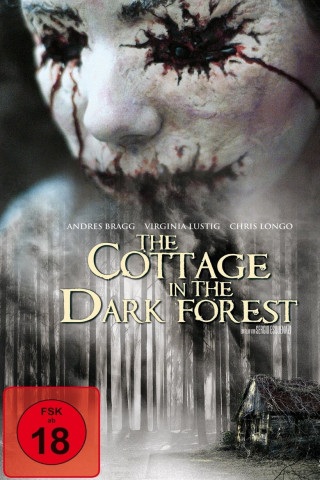 The Cottage in the Dark Forest (2007)