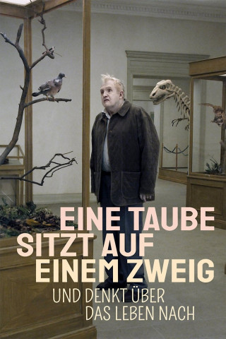 Eine Taube sitzt auf einem Zweig und denkt über das Leben nach (2014)