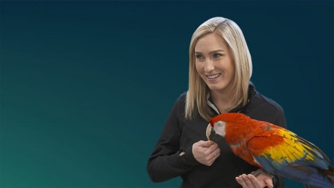 Zoogeflüster (2018)