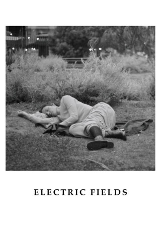 Electric Fields (2024)