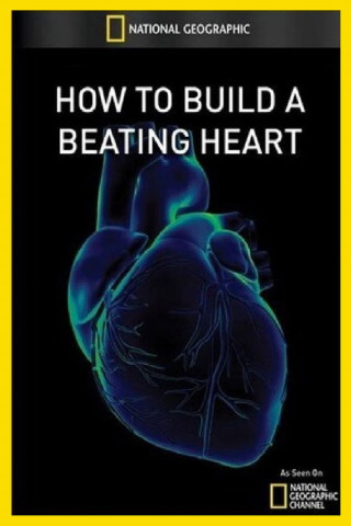 How to Build A Beating Heart (2011)