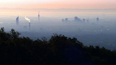 Wiener Wälder - Grüne Juwele (2005)