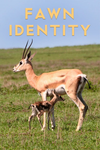 Fawn Identity (2022)