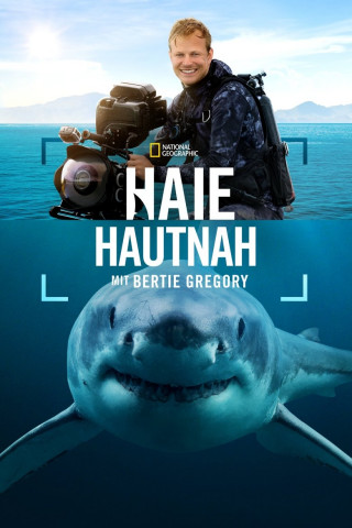 Haie hautnah mit Bertie Gregory (2025)
