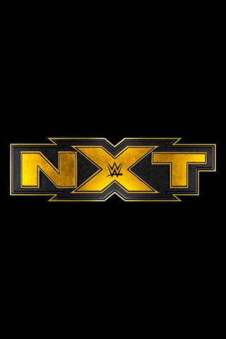 WWE NXT (2010)