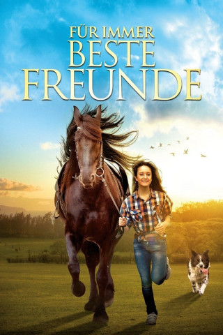 Für immer beste Freunde (2016)