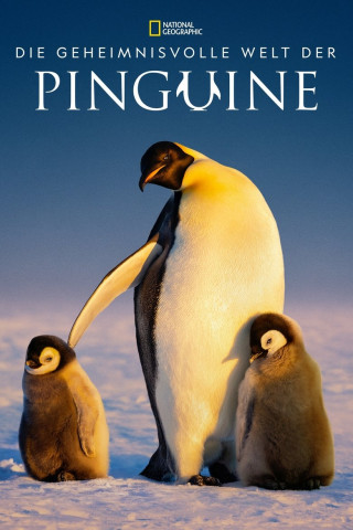 Die geheimnisvolle Welt der Pinguine (2025)
