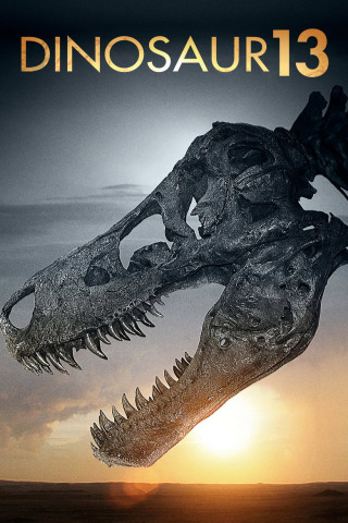Sue, Dinosaurier Nr. 13 (2014)
