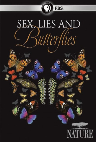 Wunderwesen Schmetterling (2018)