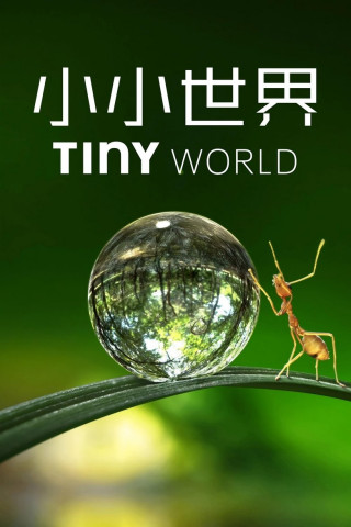 Tiny World (2020)