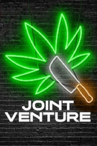 Joint Venture (2019)