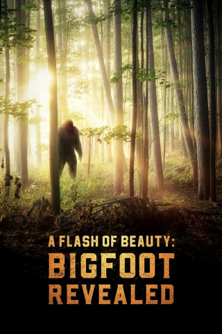 A Flash of Beauty: Bigfoot Revealed (2022)