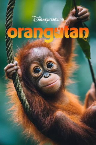 Orang-Utans (2026)