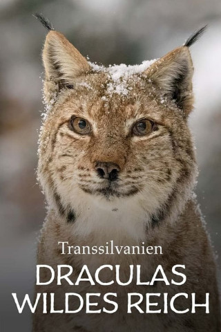 Transsilvanien, Draculas wildes Reich (2024)
