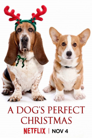A Dog's Perfect Christmas (2026)