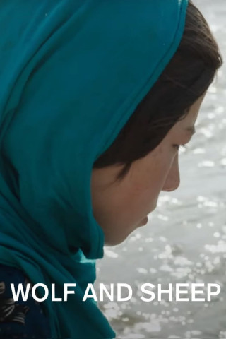 Wolf and Sheep (2016)