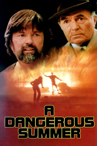 Ein gefährlicher Sommer (1982)