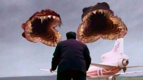 Die Angelbuddies - Fischen weltweit (2019)