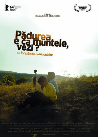 Der Wald ist wie die Berge (2014)