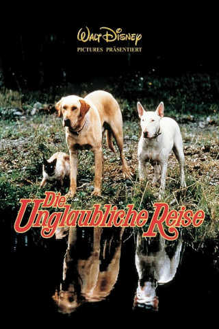 Die unglaubliche Reise (1963)