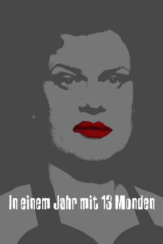 In einem Jahr mit 13 Monden (1980)