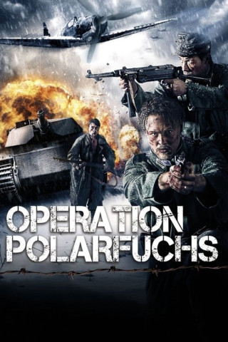Operation Polarfuchs (2011)