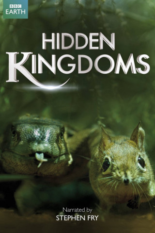 Hidden Kingdoms – Im Reich der kleinen Tiere (2014)