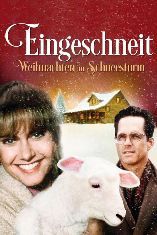 Eingeschneit - Weihnachten im Schneesturm (1994)