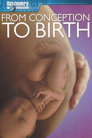 From Conception to Birth (2005)