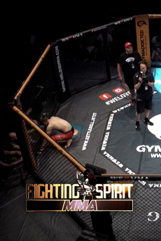 Fighting Spirit MMA (2010)