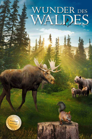 Wunder des Waldes 3D: Tales of a Forest (2012)