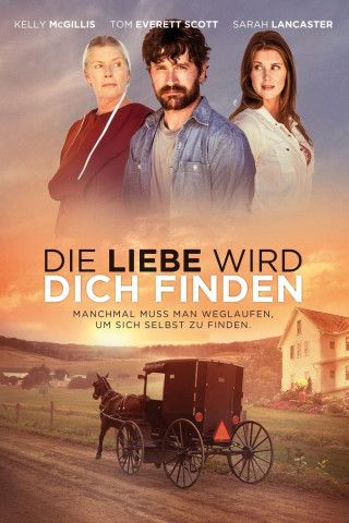 Die Liebe wird Dich finden (2014)