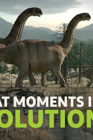 Great Moments in Evolution (2016)