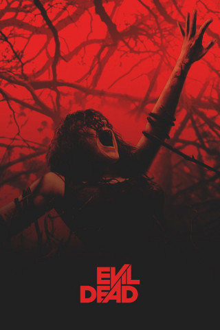 Evil Dead (2013)