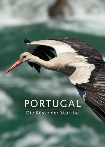 Portugal - Die Küste der Störche (2020)