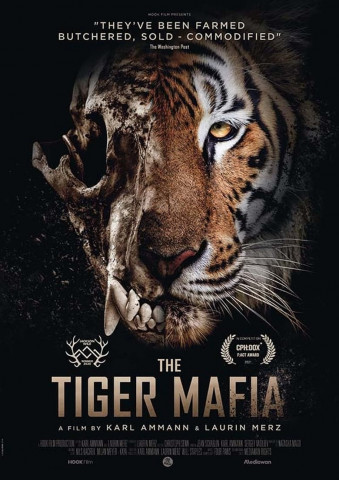 The Tiger Mafia (2021) (2020)