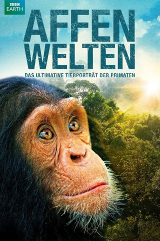 Die wunderbare Welt der Affen (2014)