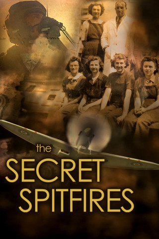 Secret of the Spitfires (2016)