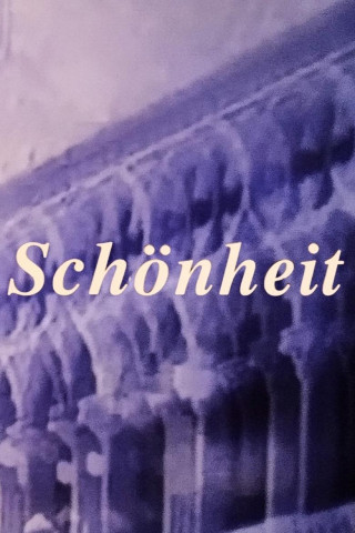 Schönheit (2011)