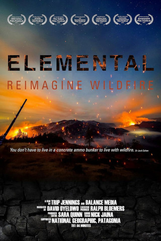 Elemental: Reimagine Wildfire (2023)