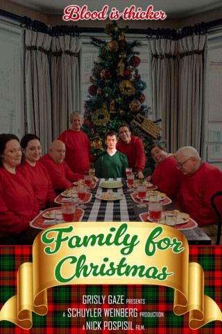 Eine Familie zu Weihnachten (2015)