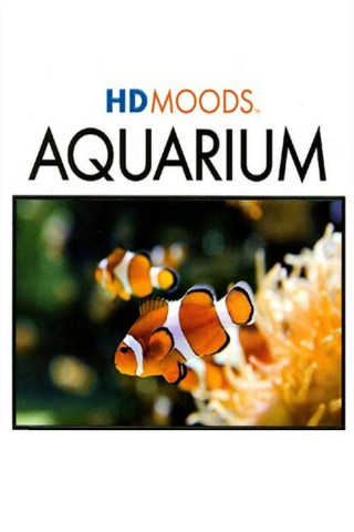 HD MOODS: AQUARIUM (2008)