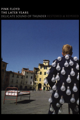 Pink Floyd: Delicate Sound of Thunder (1989)