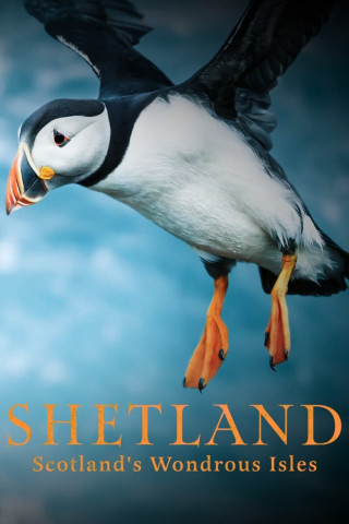Mord auf Shetland (2013)