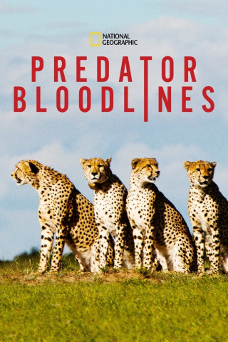 Predator Bloodlines (2020)