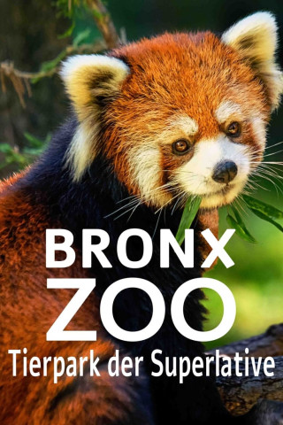 Bronx Zoo - Tierpark der Superlative (2017)