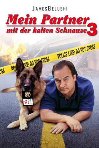 Mein Partner mit der kalten Schnauze 3 (2002)