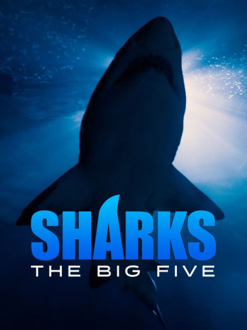Sharks 3D - King of the Ocean (2012)