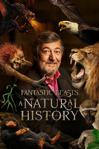 Fantastic Beasts: A Natural History OV (2022)