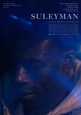 Suleyman (2024)